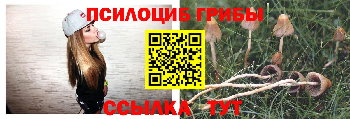 Электросталь  Галлюциногенные грибы GOLDEN TEACHER  Галлюциногенные грибы Psilocybe  Вход с VPN 